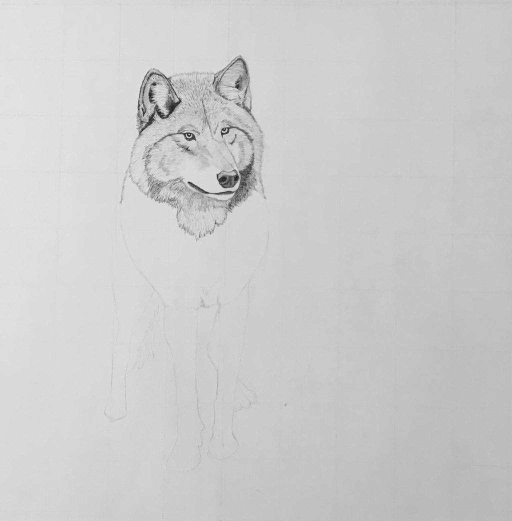 Shadow Companion Wolf Drawing