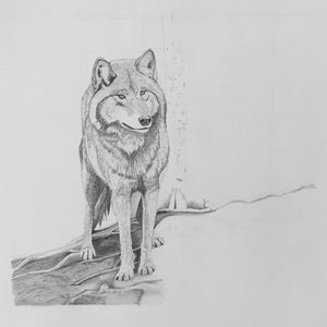 Shadow Companion Wolf Drawing