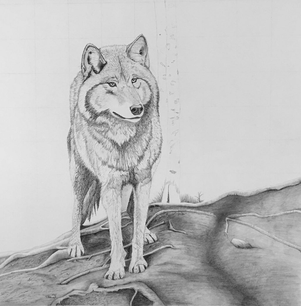 Shadow Companion Wolf Drawing