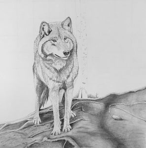Shadow Companion Wolf Drawing