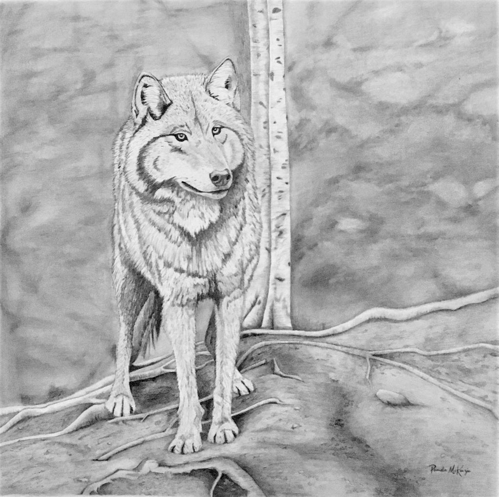 Shadow Companion Wolf Drawing
