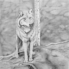 Shadow Companion Wolf Drawing